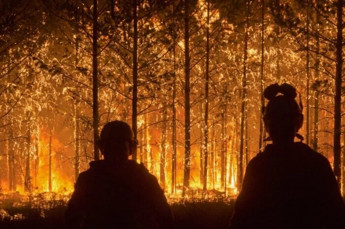 Новосибирск окутало дымкой от пожаров в лесах Сибири