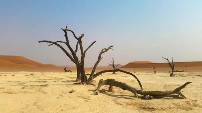 Ученые создали прибор, который добывает воду в пустыне