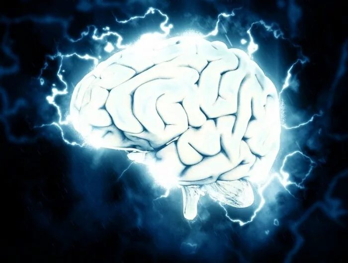 Ученые сумели увеличить мозговую ткань в 20 раз