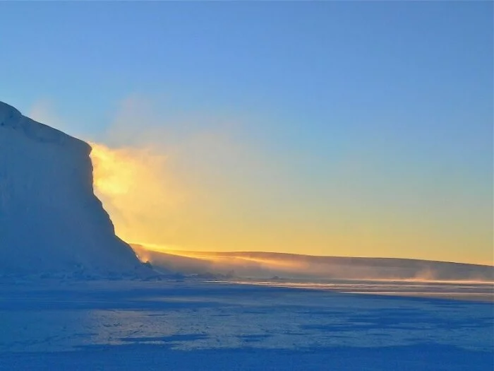 Ученые выяснили, как глобальное потепление меняет жизнь обитателей Арктики