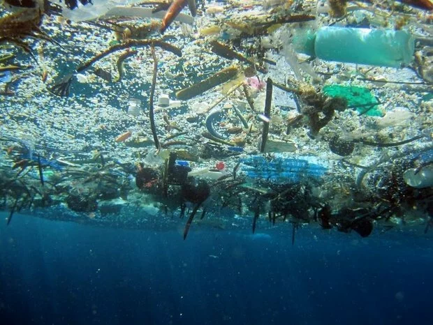 Ученые: уровень загрязнения пластиковыми отходами недооценен на 80%