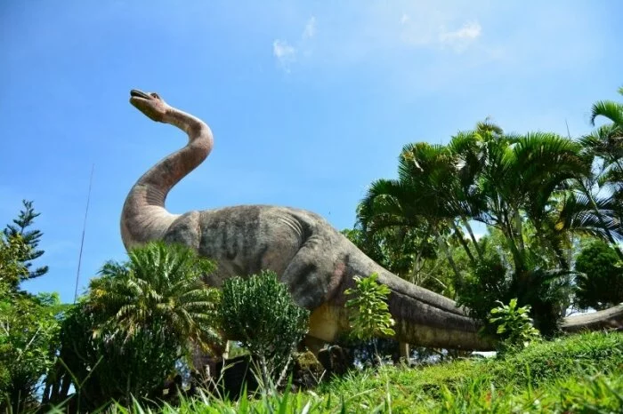 Палеонтологи открыли и описали новый вид гигантских динозавров