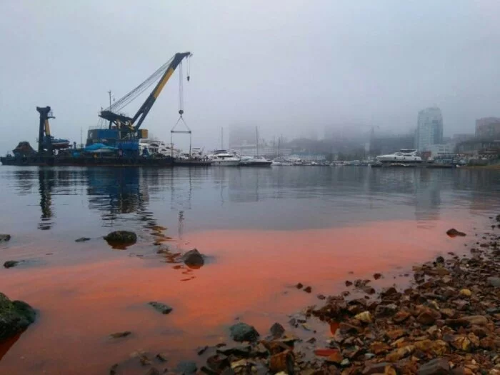 Во Владивостоке море стало оранжевого цвета