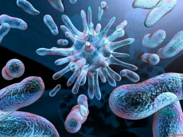 Ученые из Швеции обнаружили микробов на глубине 1700 метров