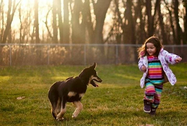 Ученые: Собаки и дети помогают друг другу побороть стресс