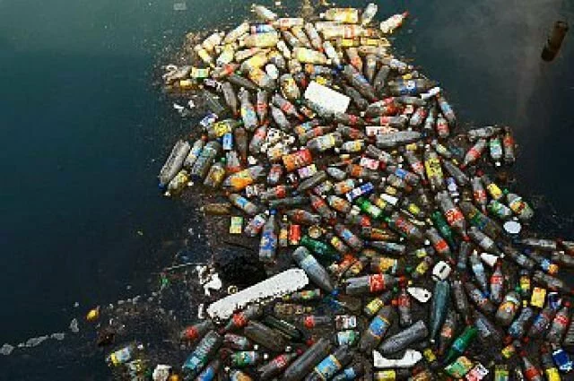В океане появились микробы, способные разлагать пластик