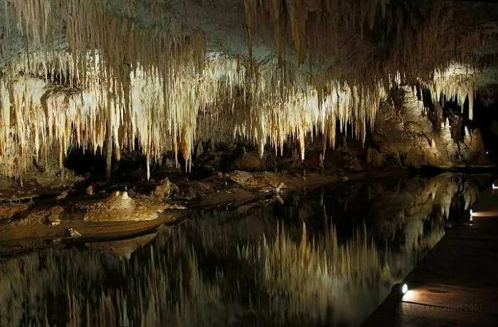 В пещерах Урала были обнаружены останки неизвестного гибрида животных