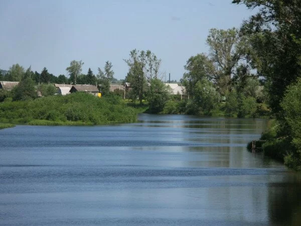 В Тверской области в реке найдено тело мужчины