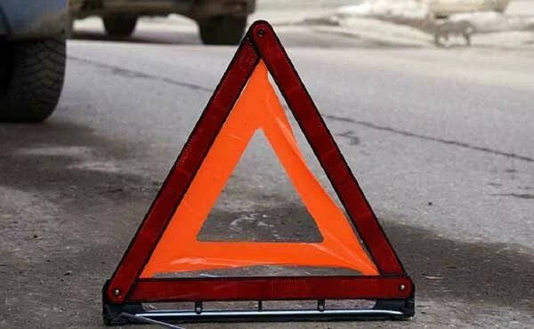 В Тверской области водитель сбил лося и врезался в иномарку Audi