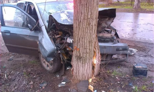Возле Бобровки Nissan врезался в дерево, погиб один человек