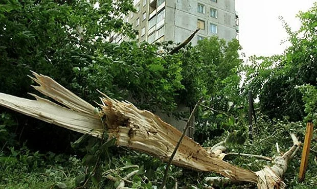 Синоптики предупредили жителей московского региона об ухудшении погоды