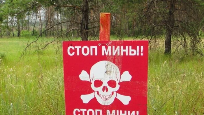 Миссию ОБСЕ на Луганщине остановили мины