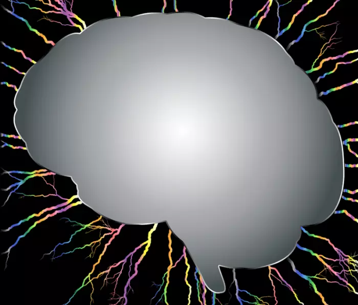Психологи рассказали, чем чреват разрыв связи между полушариями мозга