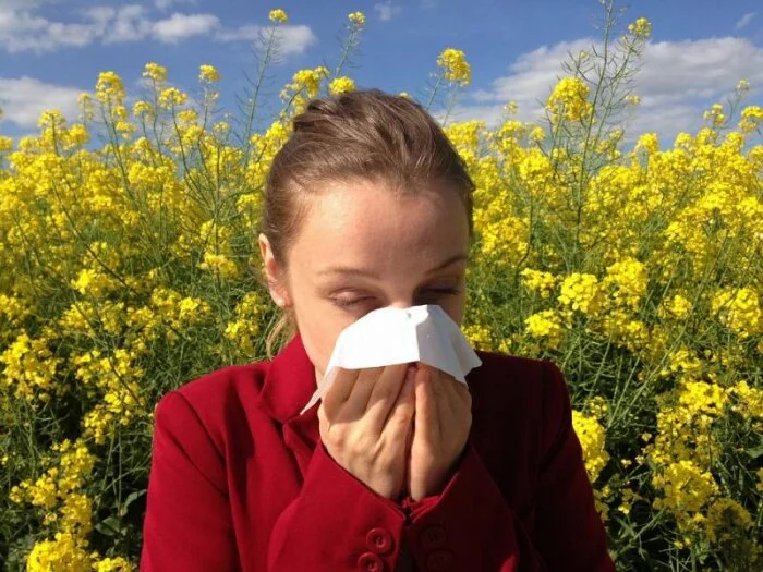 Ученые рассказали о природе аллергии