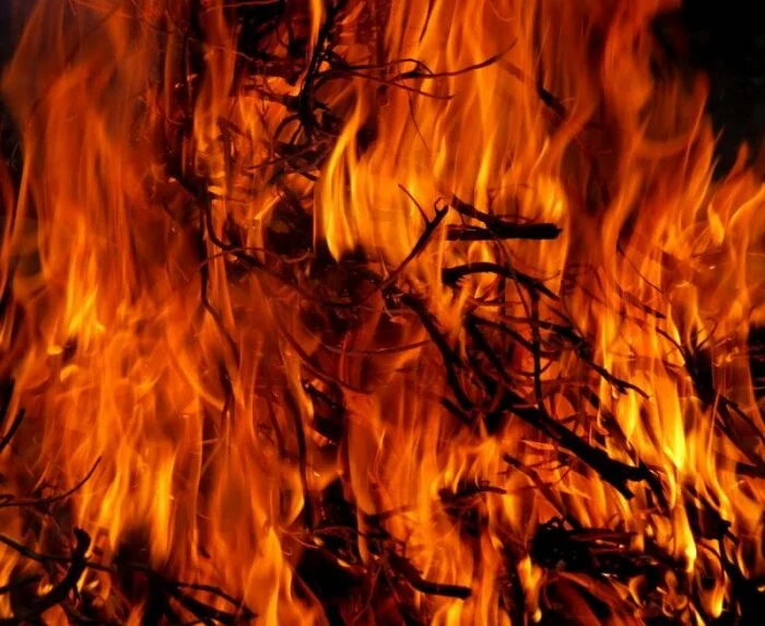 В Хабаровском крае действуют 7 лесных пожаров