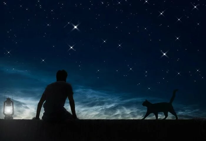 В ночном небе Риги НЛО устроили массовое «гуляние»