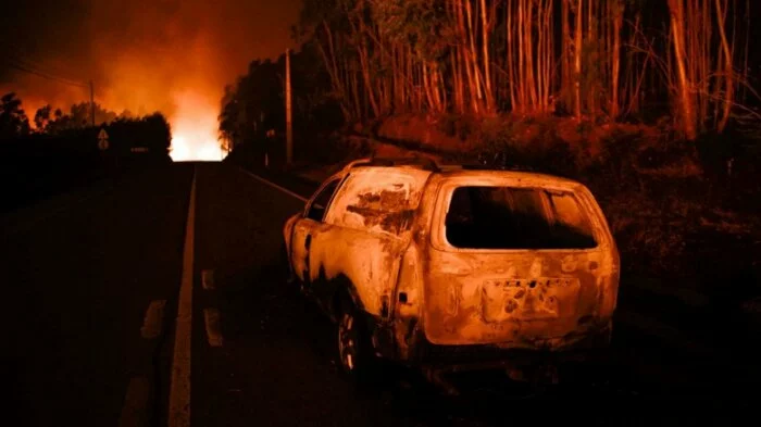 В Португалии в лесных пожарах погибло 63 человека