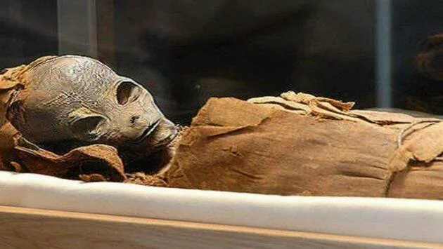 Ученые обнаружили мумию пришельца в Перу