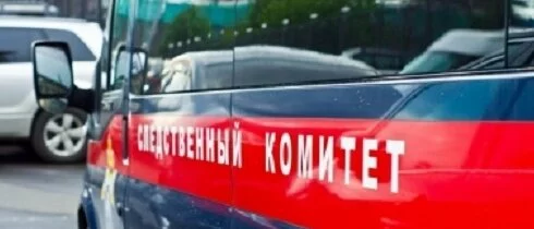 В Москве школьницы жестоко избили сверстницу в лесополосе