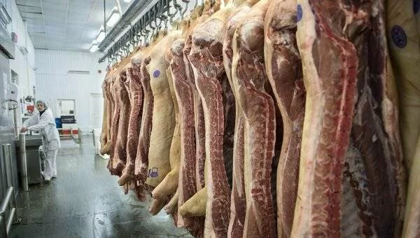 Россия ограничила поставки свинины из Чехии?