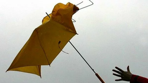 В Москве объявлено штормовое предупреждение из-за ветра