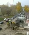 «ДимГрад24»: В Димитровграде предприниматель срубил пять голубых елей