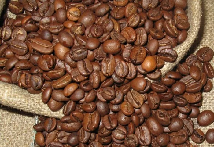 Учёные разрабатывают топливо из остатков кофе