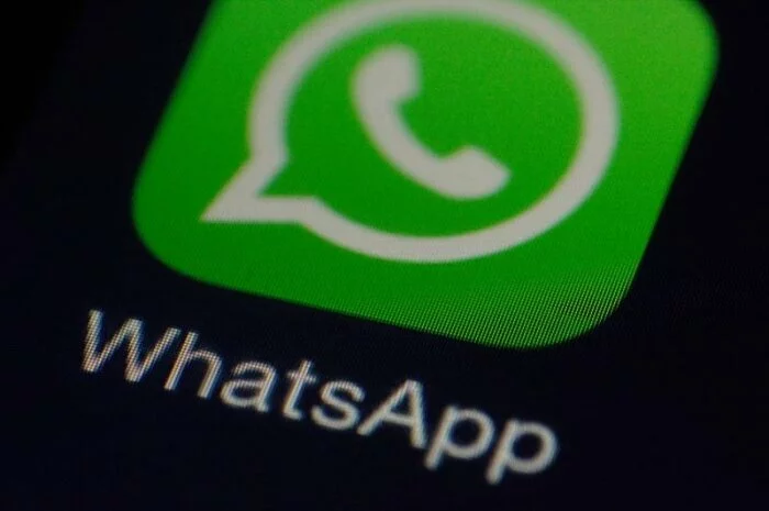 В новой версии WhatsApp будут групповые голосовые вызовы и видеозвонки