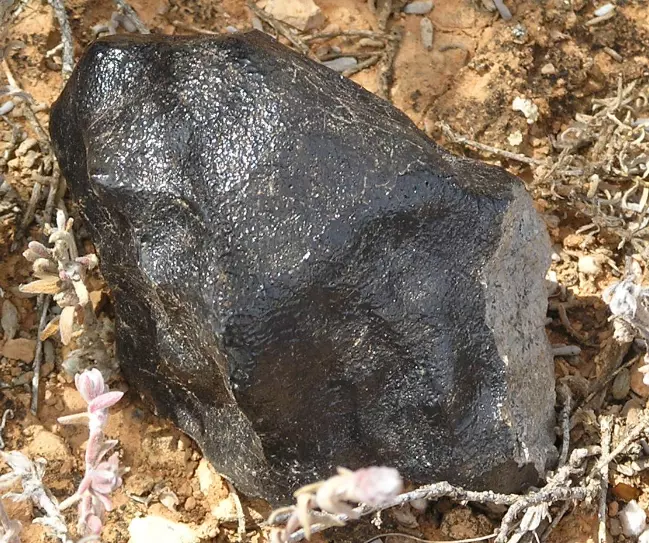 Ученые: Анализ метеорита Bunburra Rockhole указывает на его родительского астероида