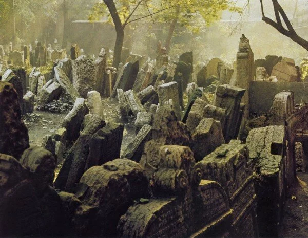 В Архангельске трудовые мигранты из Украины разрыли старинное кладбище