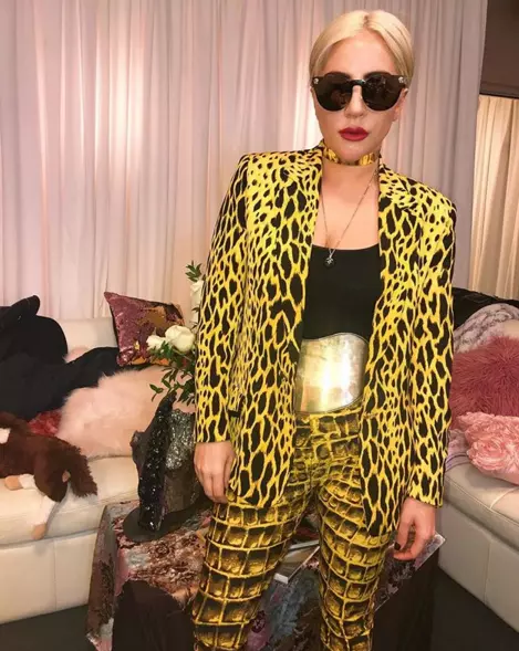 Леди Гага опубликовала в Instagram фото в ярком наряде
