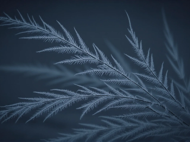 Якутск в ноябре 2025: первые выходные — минус 14°, к концу месяца — до минус 35°