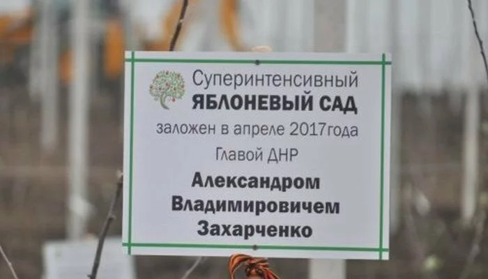Главарь «ДНР» заложил сад