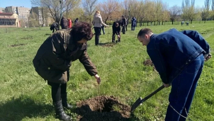 Алчевск: местные «власти» похвастались вишневым садом