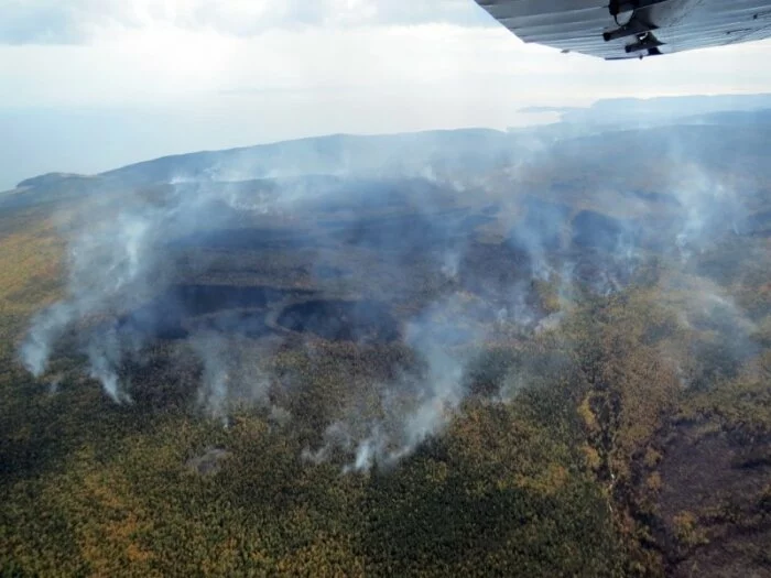 Путин поручил оказать помощь пострадавшим от лесных пожаров в Бурятии и Иркутске