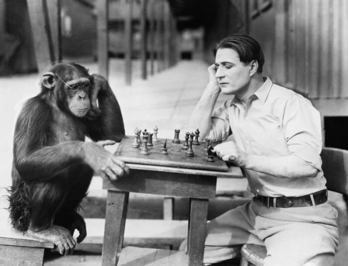 Ученые выявили новые отличия между мозгом шимпанзе и человека