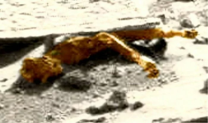 Уфологи на фото обнаружили труп марсианина