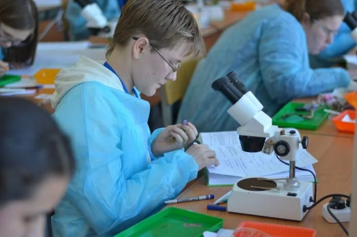 В УлГПУ проходит Всероссийская олимпиада школьников по биологии. Началось выполнение практических заданий
