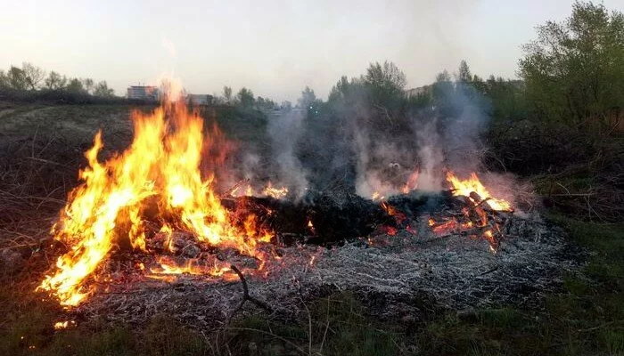 Возле озера в Северодонецке произошел пожар