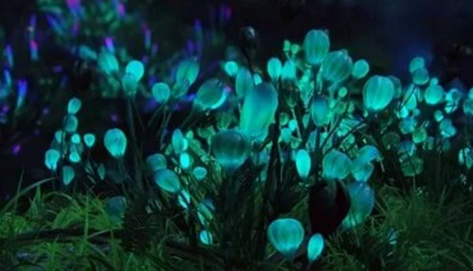 Китайские ученые создали светящиеся в темноте растения