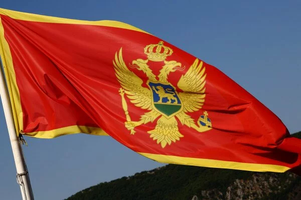 МИД Черногории вручил ноту протеста послу России