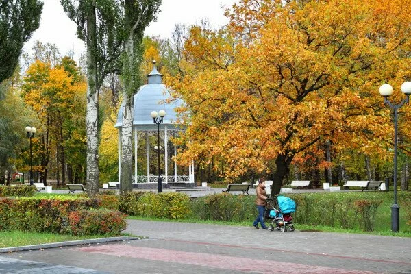 На востоке Москвы в парке обнаружены человеческие останки