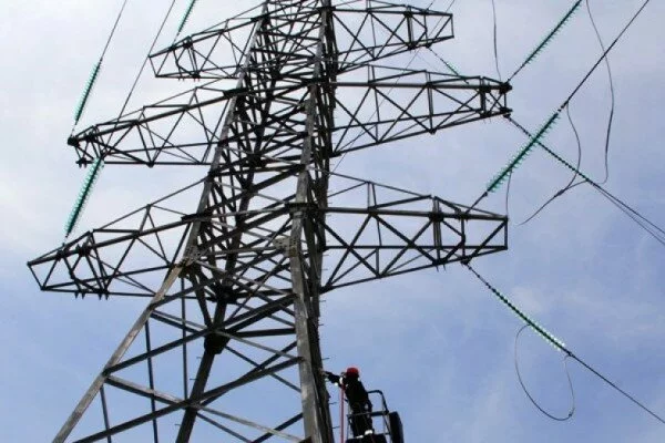 Сильный ветер оставил без электричества жителей шести районов Удмуртии