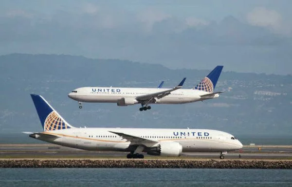 Скорпион задержал вылет рейса United Airlines
