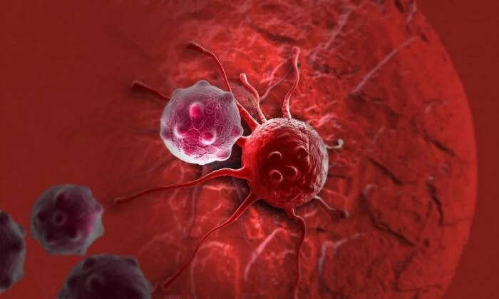 Американские ученые научились замедлять рост раковых клеток
