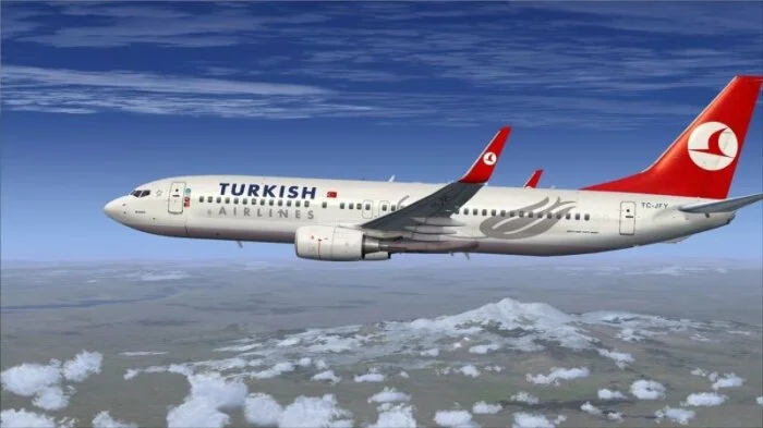 Турецкий самолет возвратился во Внуково после столкновения со стаей птиц?