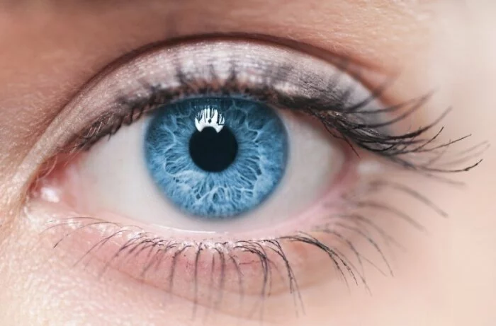 Ученые: Цвет глаз расскажет о возможных заболеваниях человека