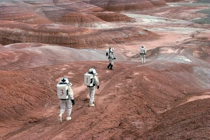 Учёные из NASA создадут «марсианский крем от загара» из чернобыльских грибов