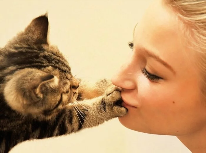 Ученые: Кошки любят людей больше пищи