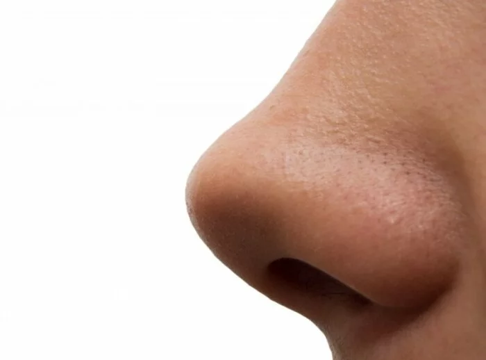 Ученые: Ковырять в носу полезно для зубов